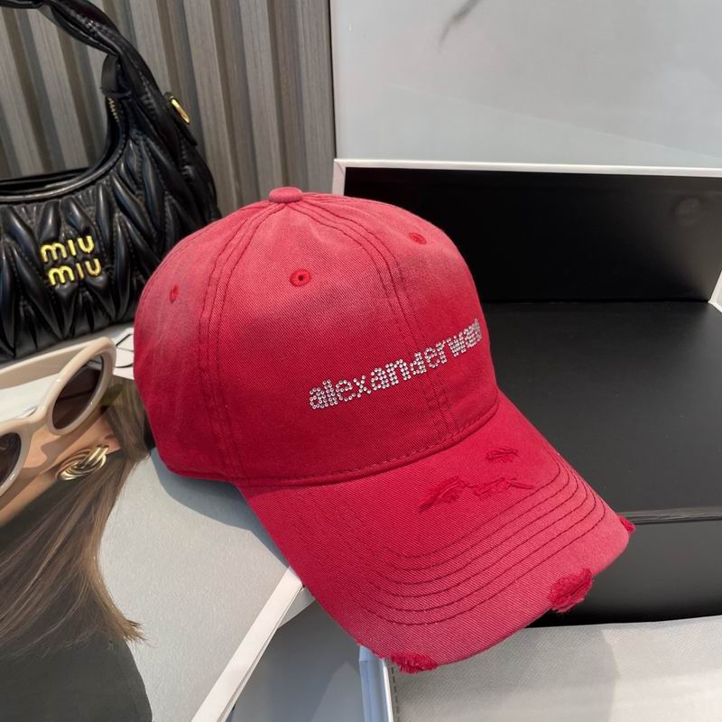Alexander Wang cap dx (33)