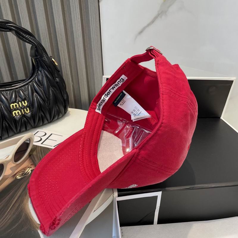 Alexander Wang cap dx (34)