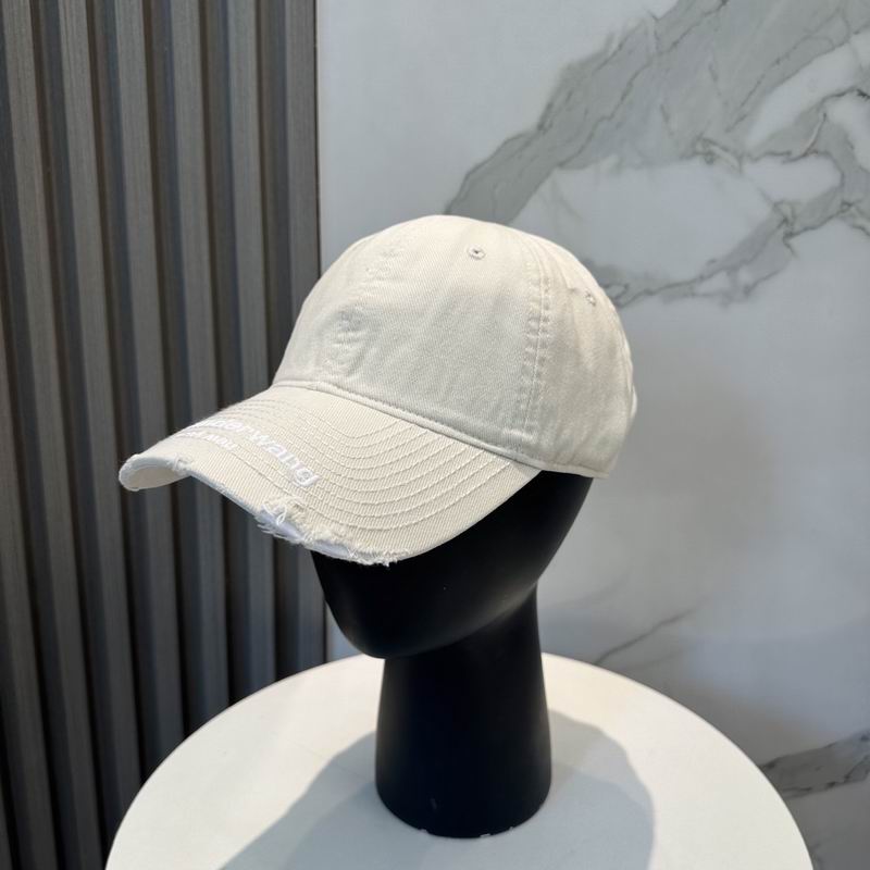Alexander Wang cap dx (35)