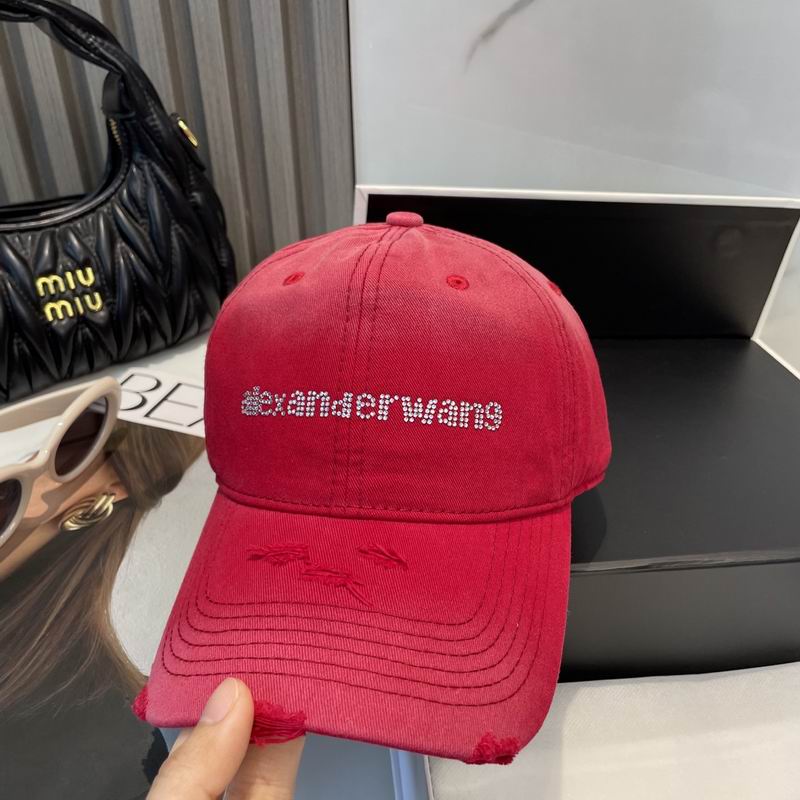 Alexander Wang cap dx (36)