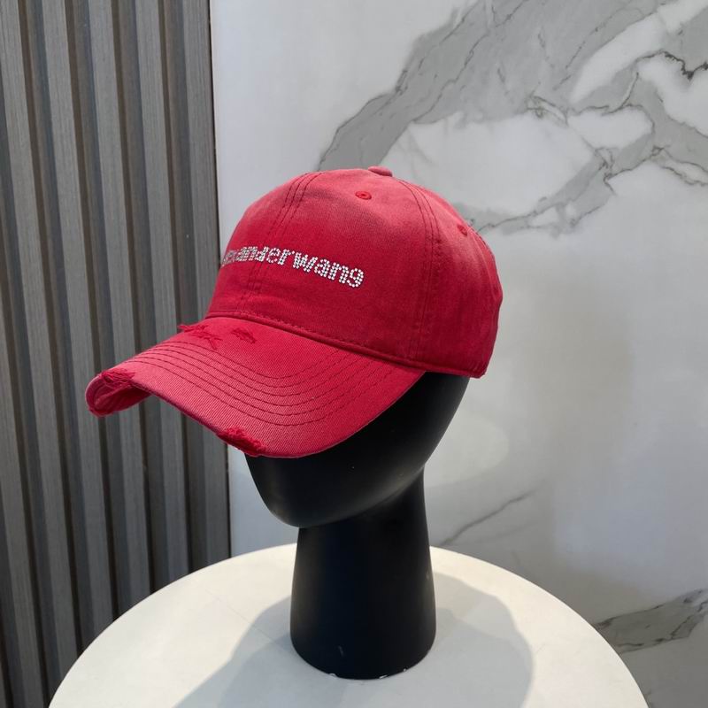 Alexander Wang cap dx (37)