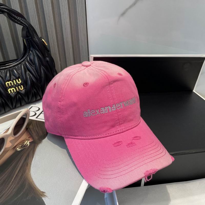 Alexander Wang cap dx (40)