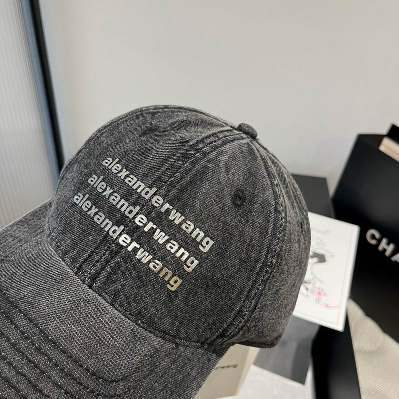 Alexander Wang cap dx (40)