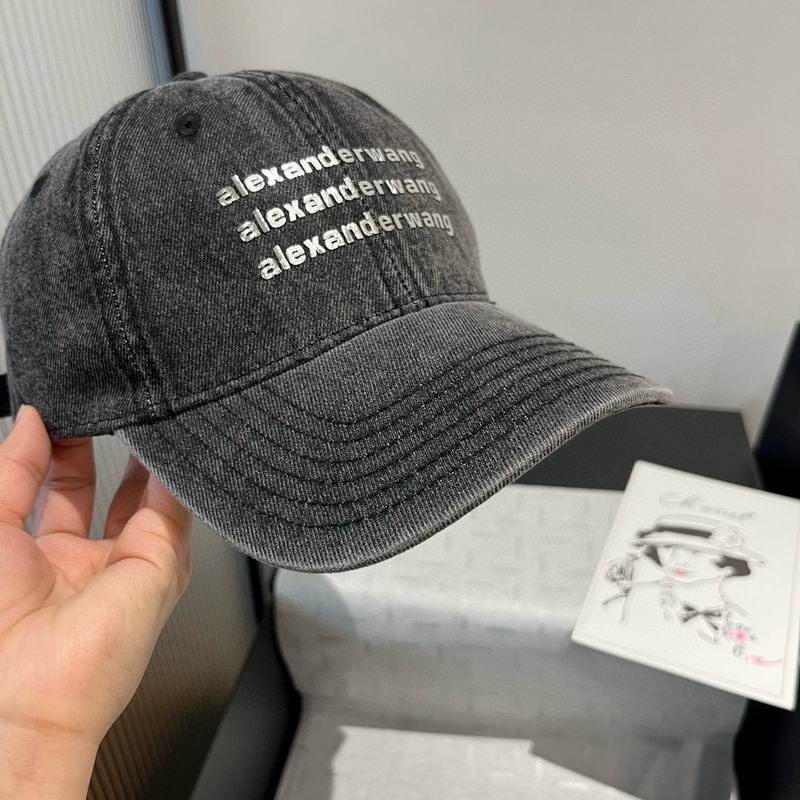 Alexander Wang cap dx (42)