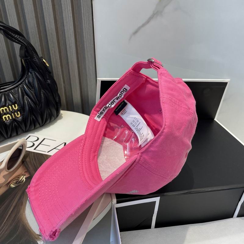 Alexander Wang cap dx (43)