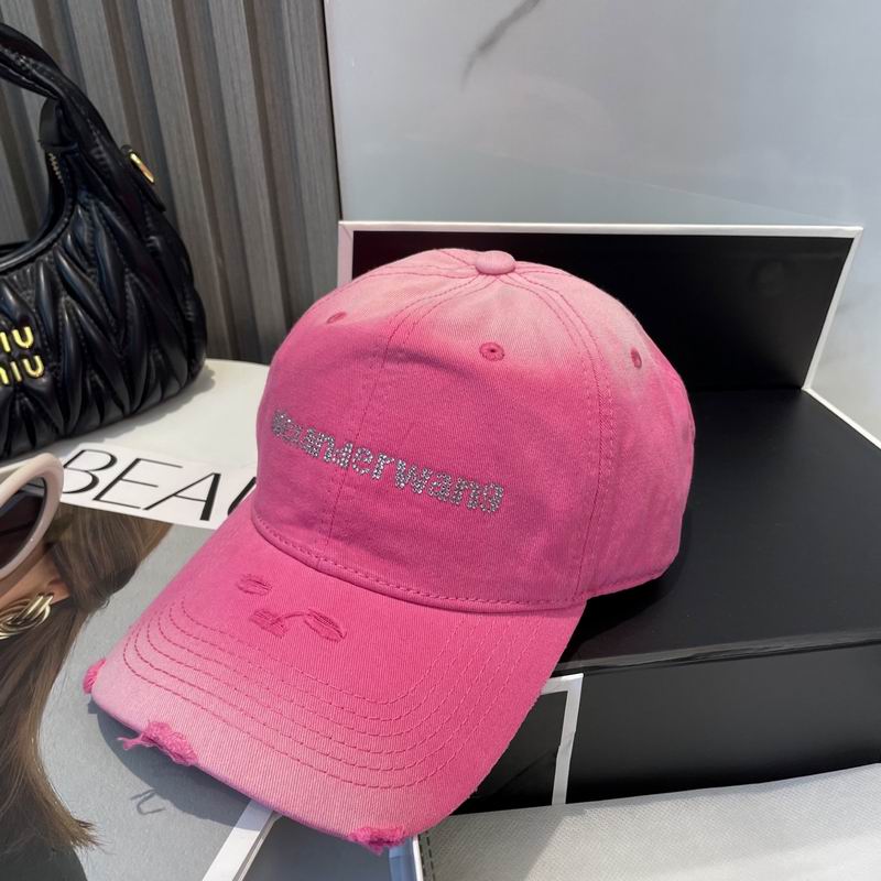 Alexander Wang cap dx (45)