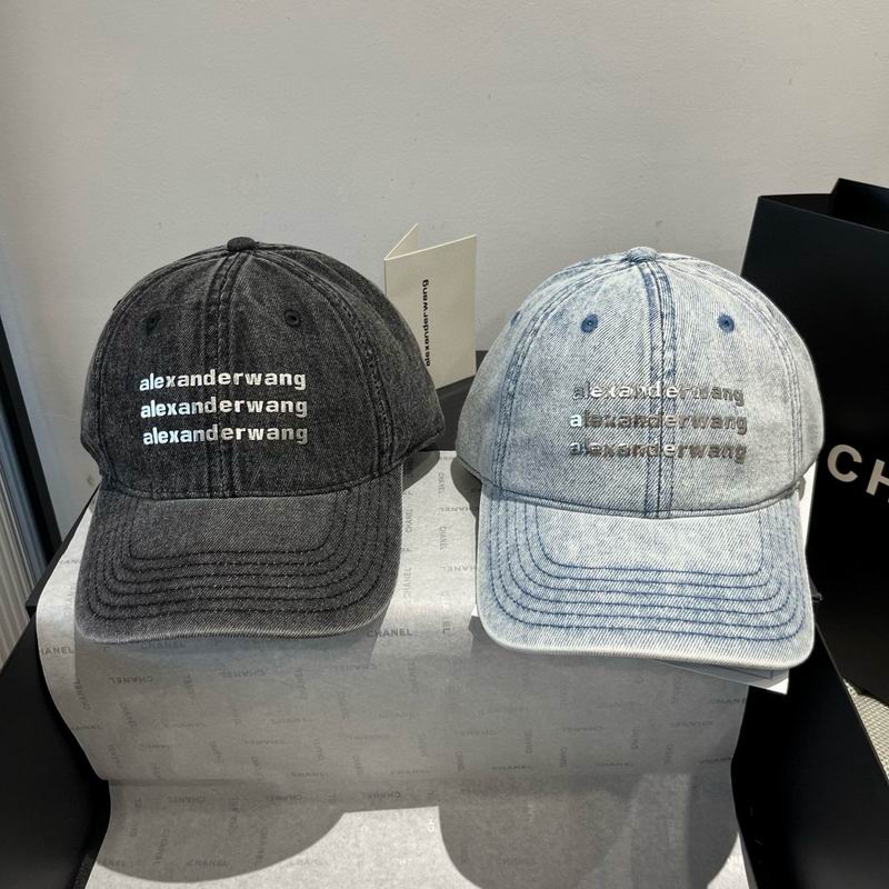 Alexander Wang cap dx (45)