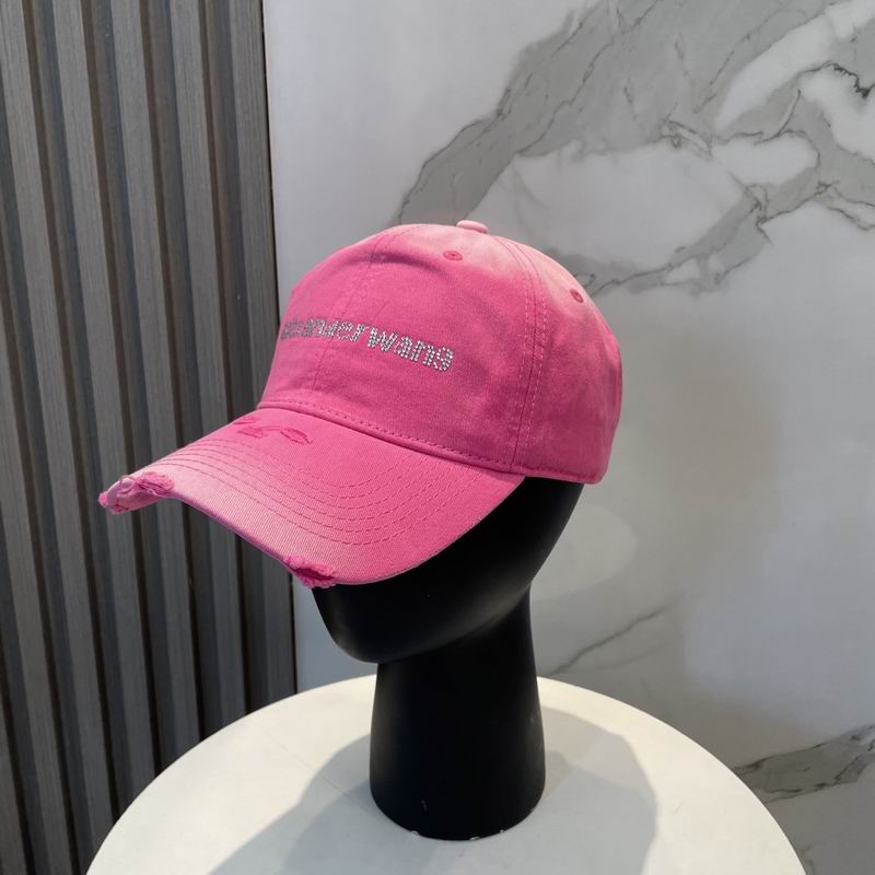 Alexander Wang cap dx (46)