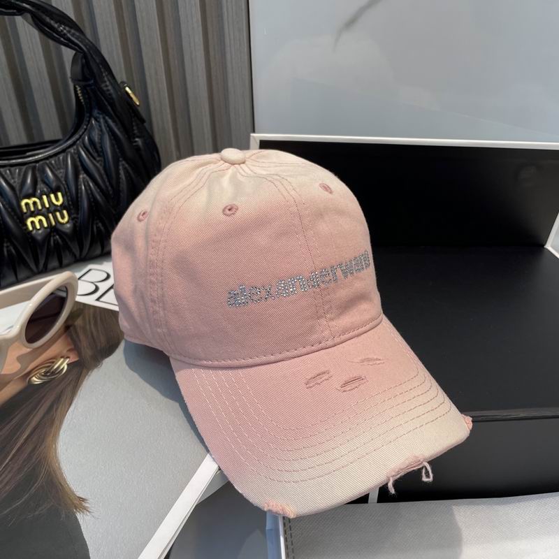 Alexander Wang cap dx (51)