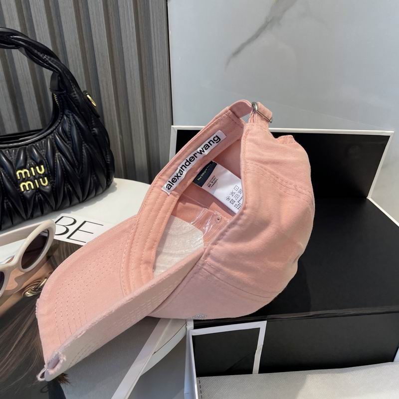 Alexander Wang cap dx (52)