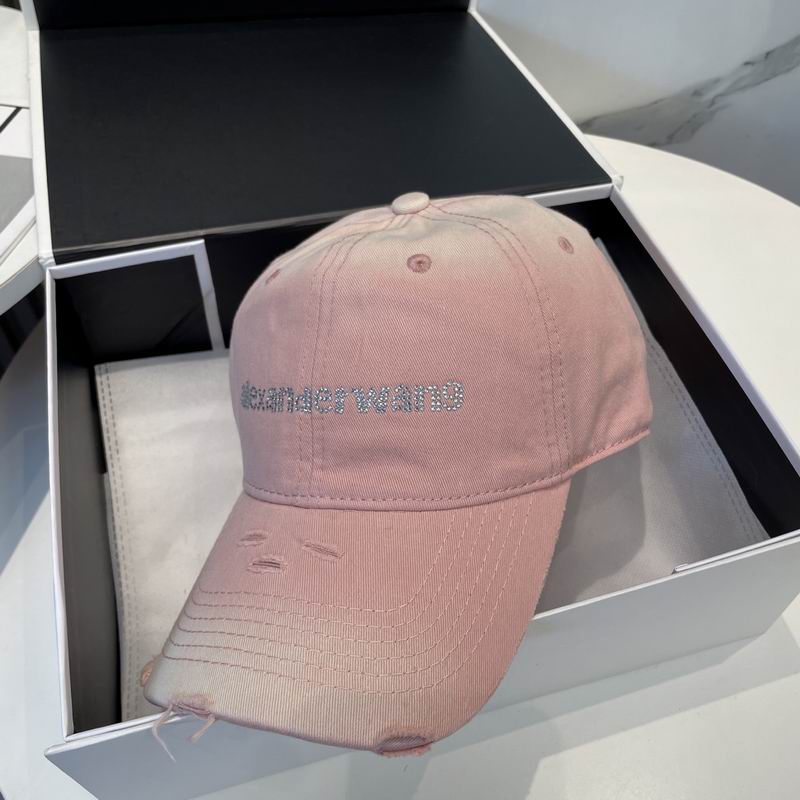 Alexander Wang cap dx (54)