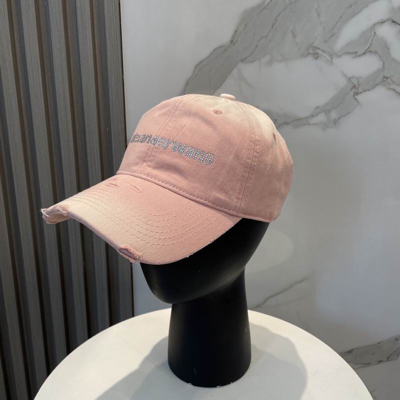 Alexander Wang cap dx (55)