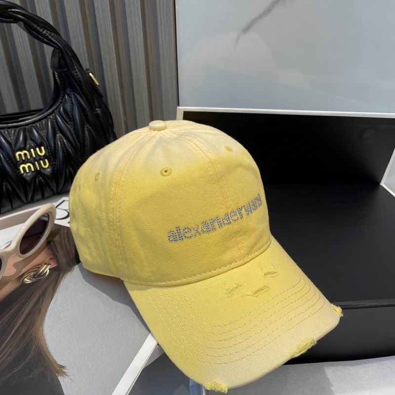 Alexander Wang cap dx (60)