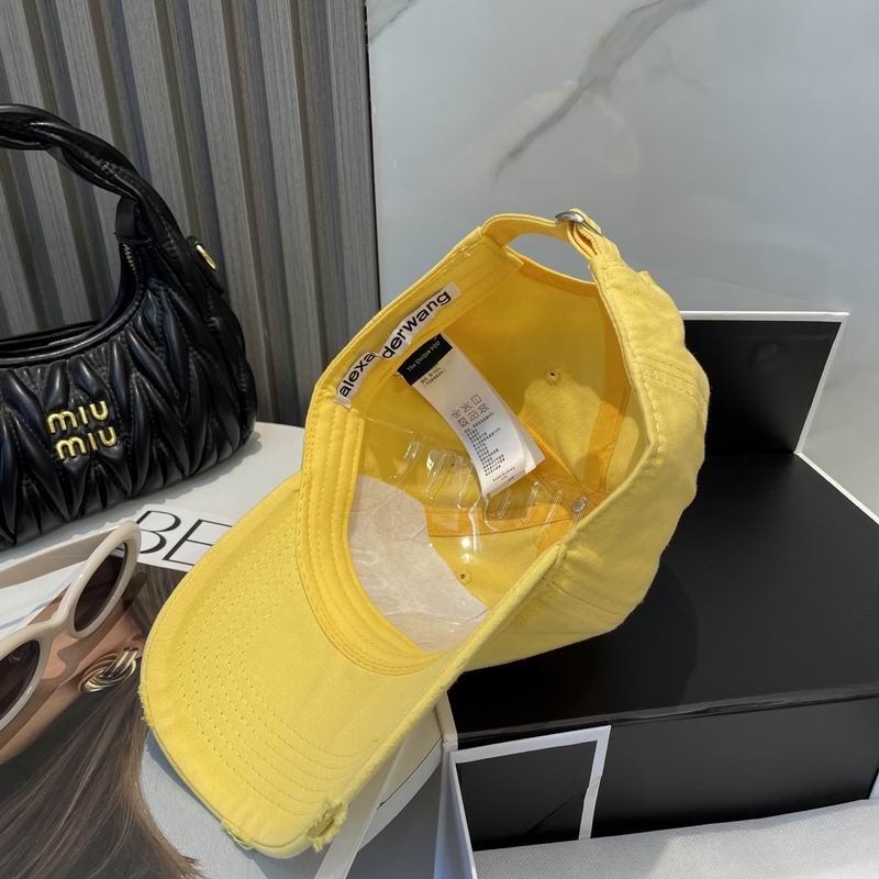 Alexander Wang cap dx (61)