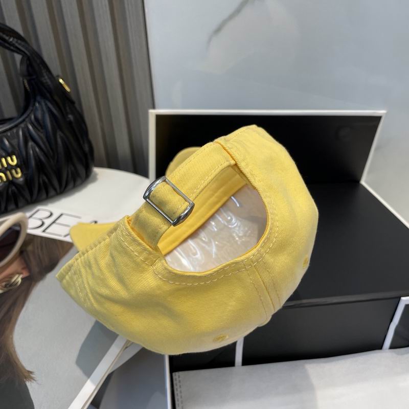 Alexander Wang cap dx (62)