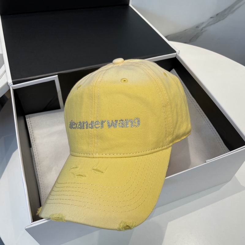 Alexander Wang cap dx (63)