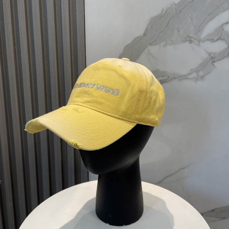 Alexander Wang cap dx (64)