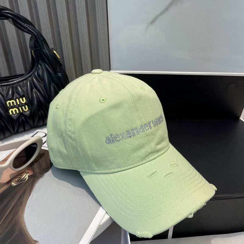 Alexander Wang cap dx (69)