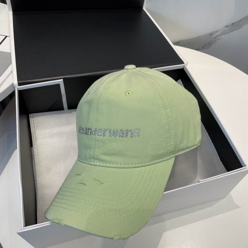 Alexander Wang cap dx (72)