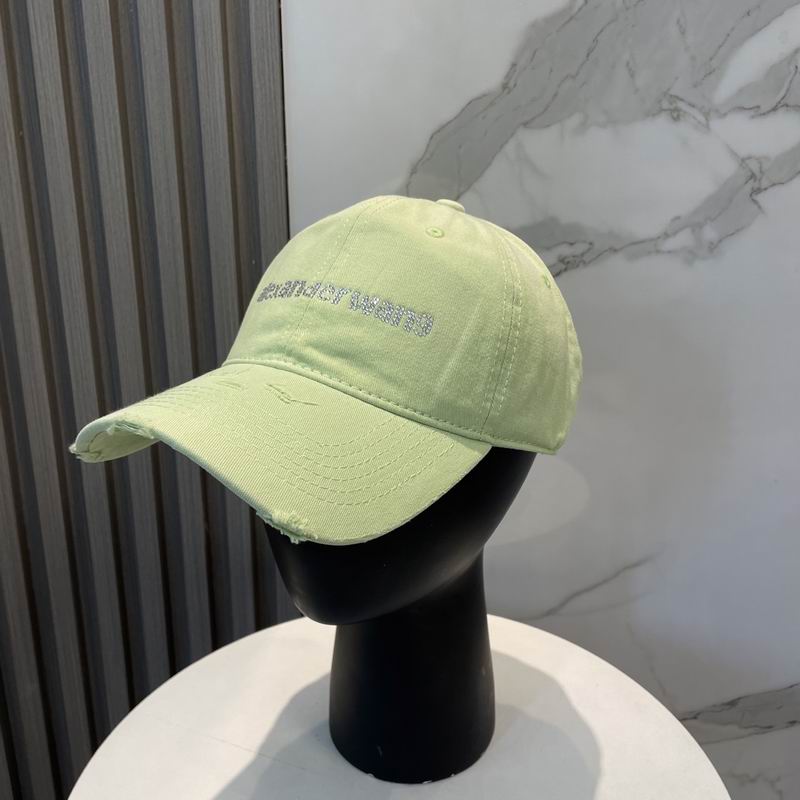 Alexander Wang cap dx (73)