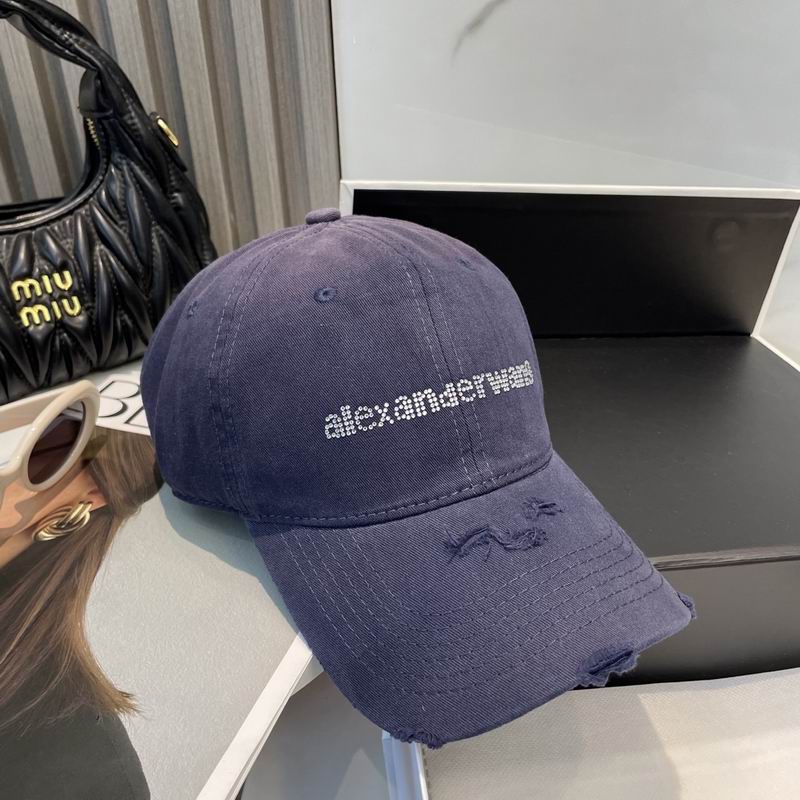 Alexander Wang cap dx (76)