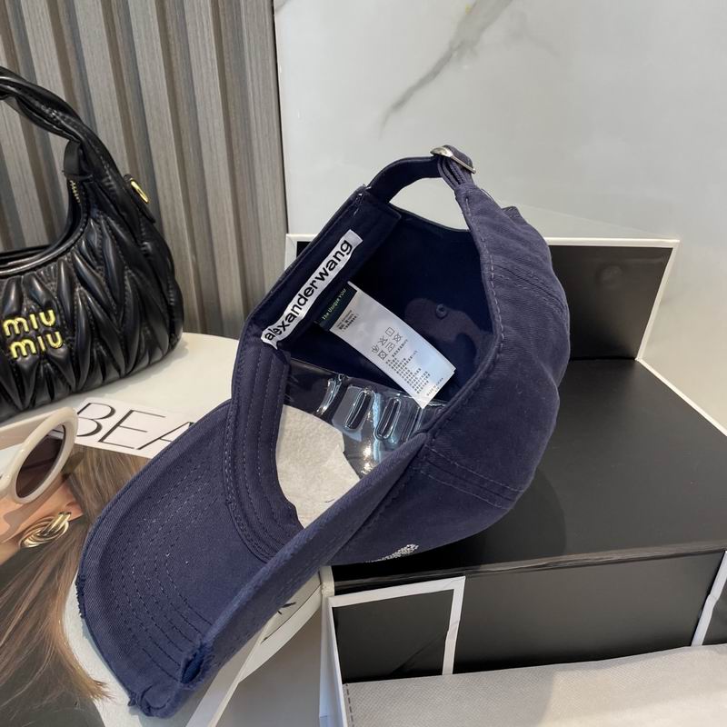 Alexander Wang cap dx (79)
