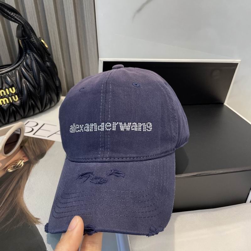 Alexander Wang cap dx (81)