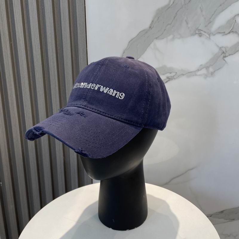 Alexander Wang cap dx (82)