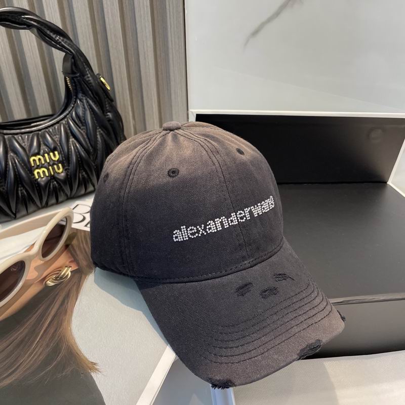 Alexander Wang cap dx (87)