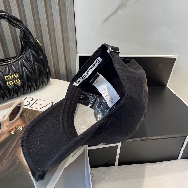 Alexander Wang cap dx (88)