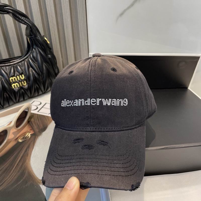 Alexander Wang cap dx (90)