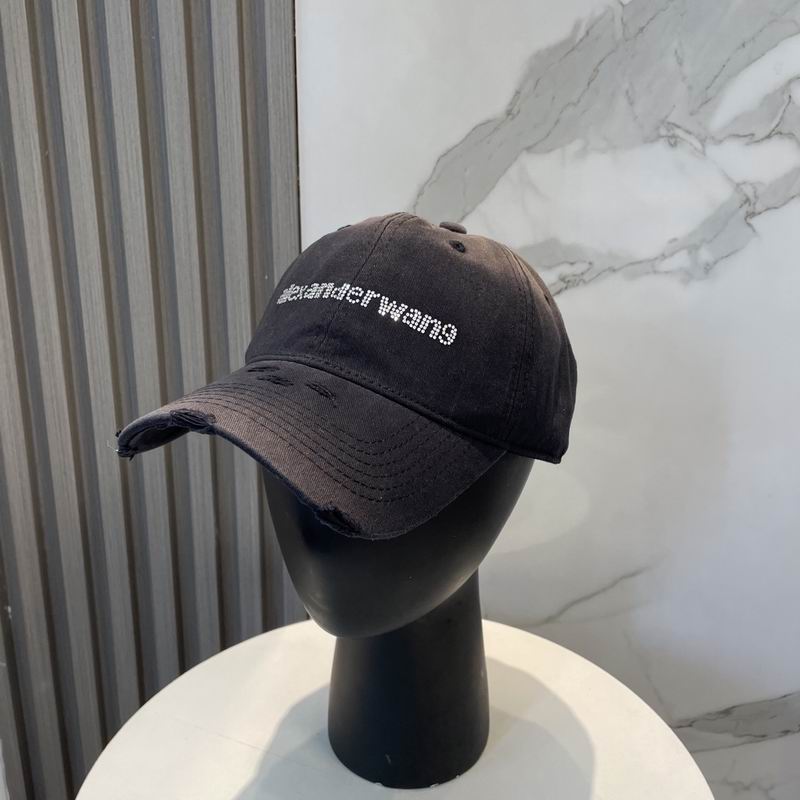Alexander Wang cap dx (91)