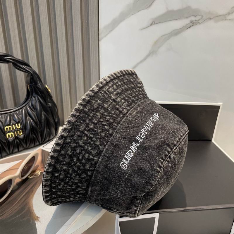 Alexander Wang hat dx (20)