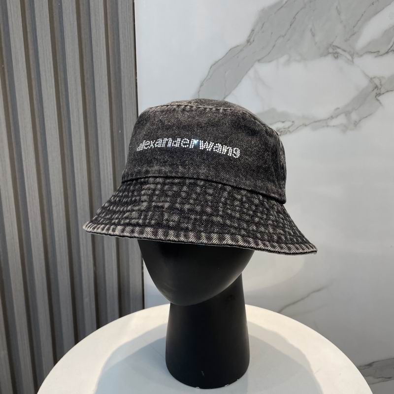 Alexander Wang hat dx (27)