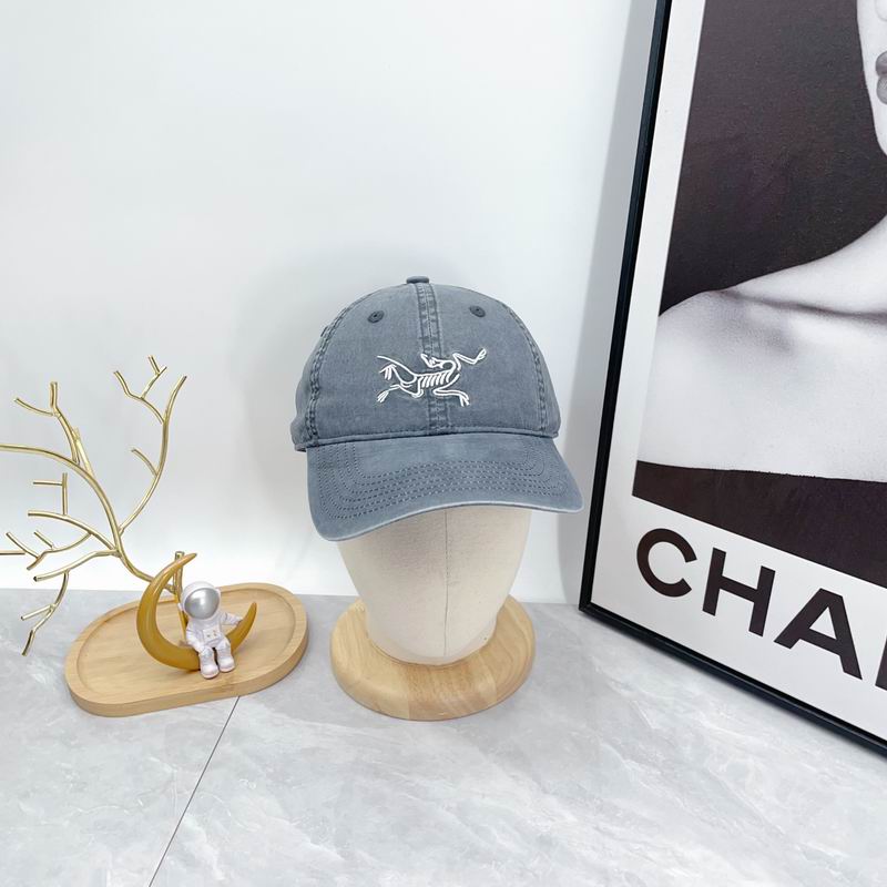 Arcteryx cap dx (100)