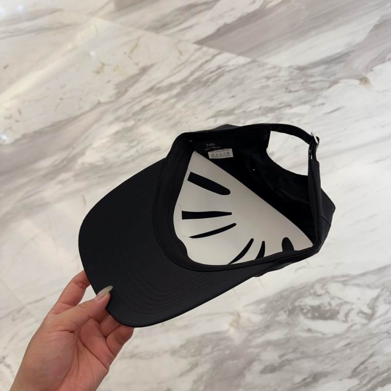 Arcteryx cap dx (121)