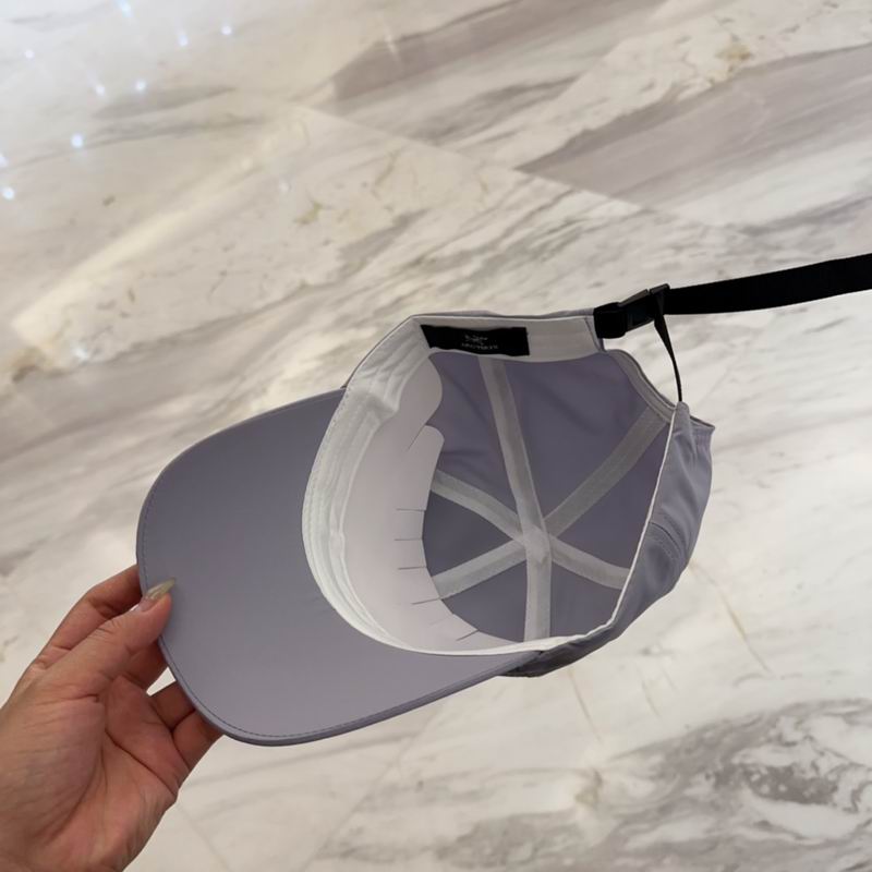 Arcteryx cap dx (169)