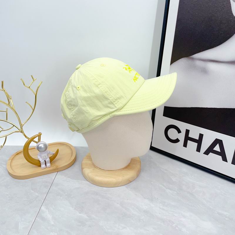 Arcteryx cap dx (17)