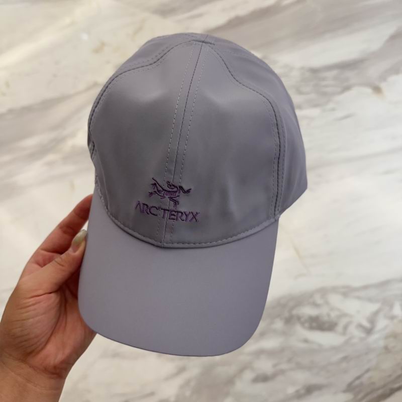 Arcteryx cap dx (173)