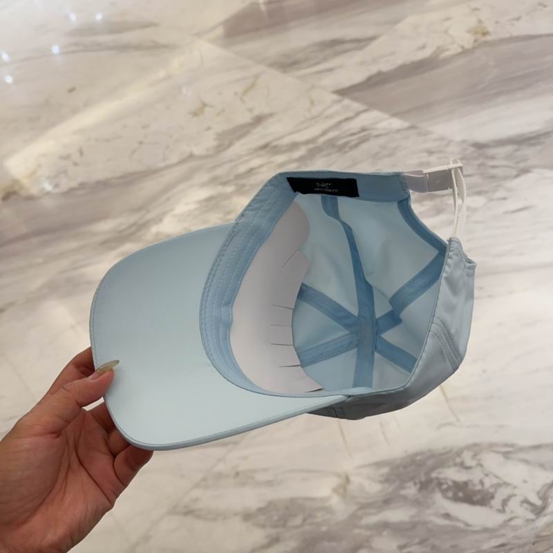 Arcteryx cap dx (177)