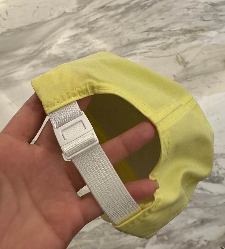 Arcteryx cap dx (194)