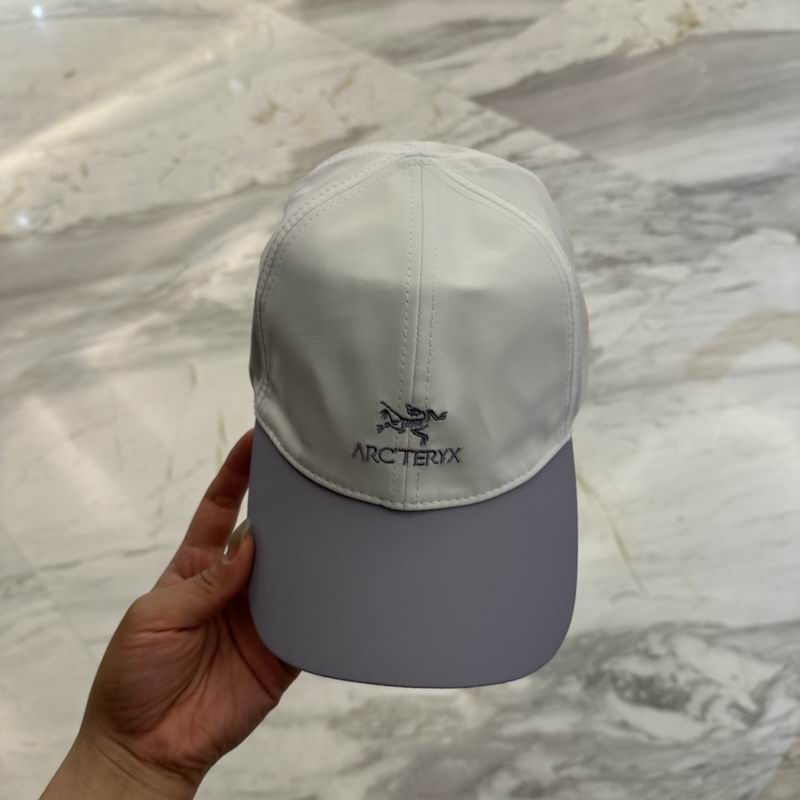 Arcteryx cap dx (266)