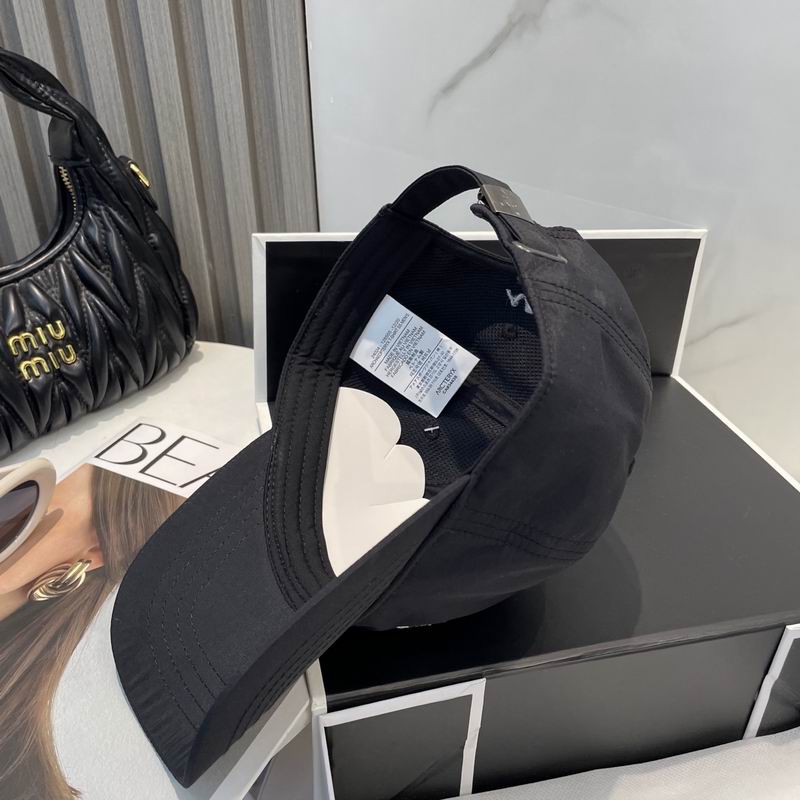 Arcteryx cap dx (272)