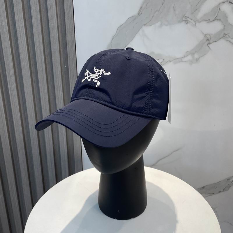 Arcteryx cap dx (293)