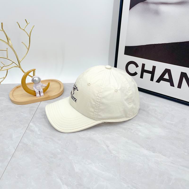 Arcteryx cap dx (33)