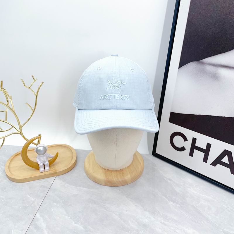 Arcteryx cap dx (45)