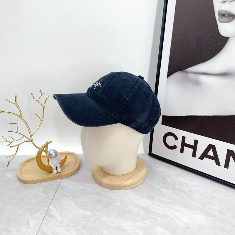 Arcteryx cap dx (54)