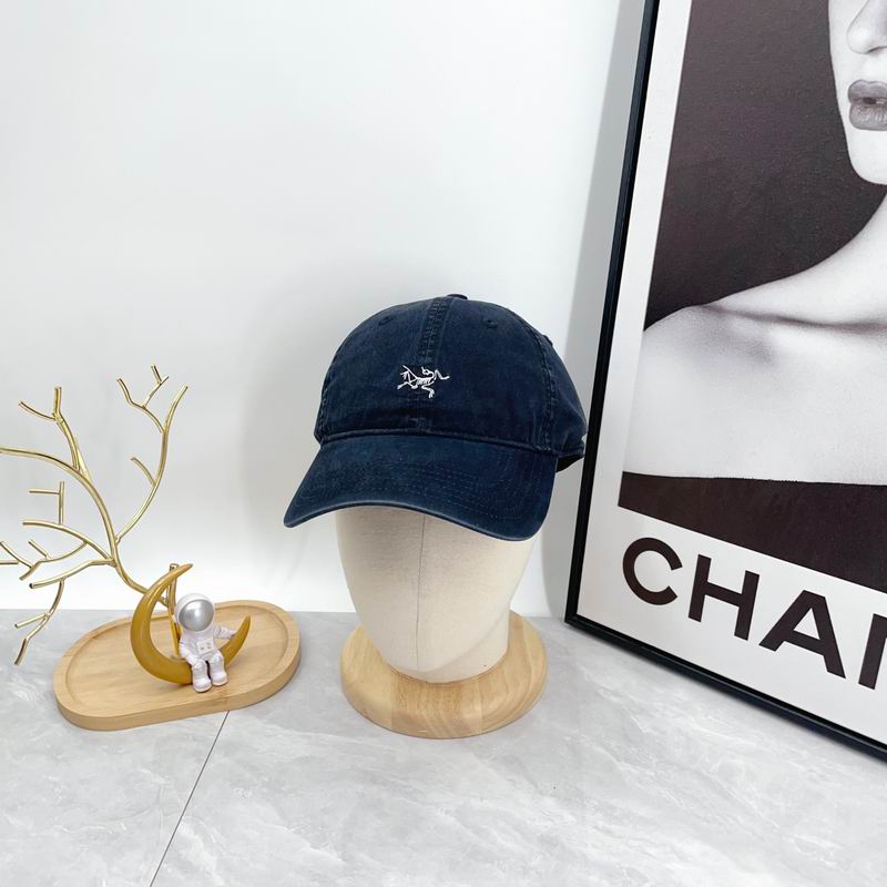 Arcteryx cap dx (55)