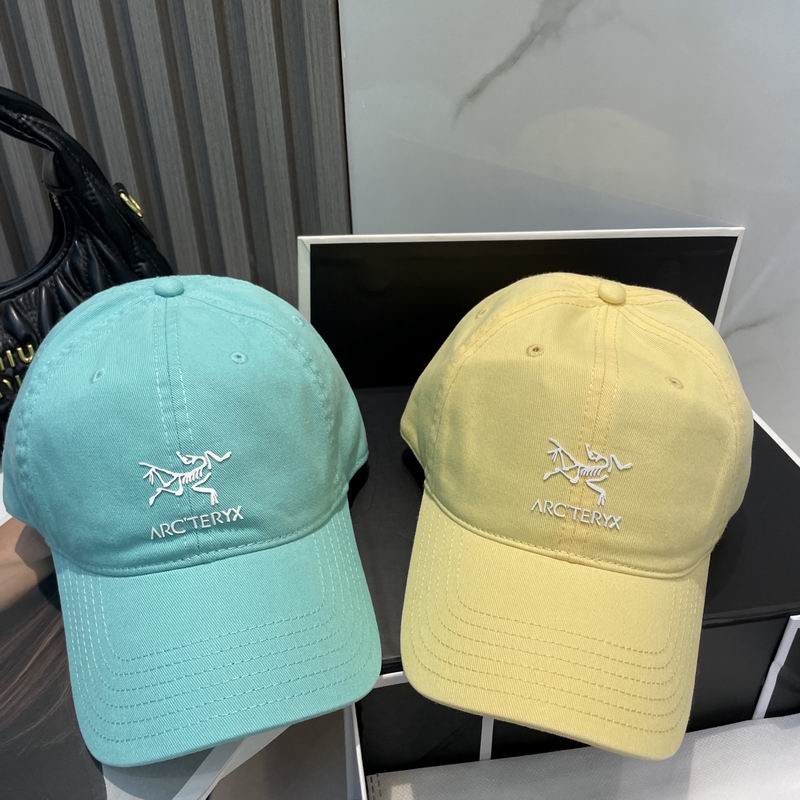 Arcteryx cap dx (60)