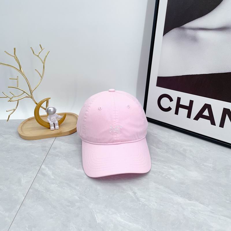 Arcteryx cap dx (60)